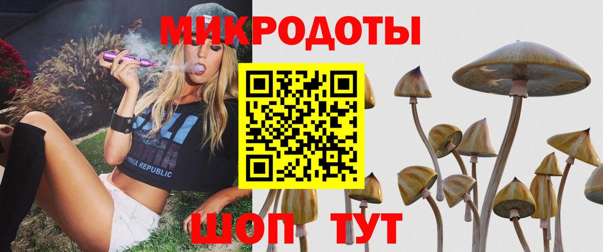 Галлюциногенные грибы прущие грибы Пушкино